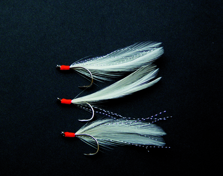 Fishing In Ireland Angling Ireland Salt Water Fish ID Mackerel